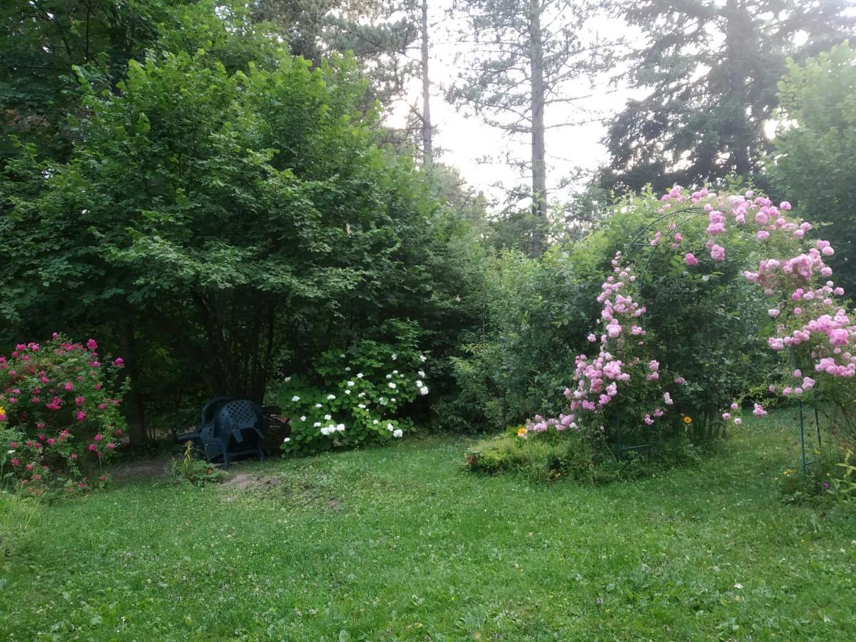Apartmani Eho Zlatibor Exteriör bild