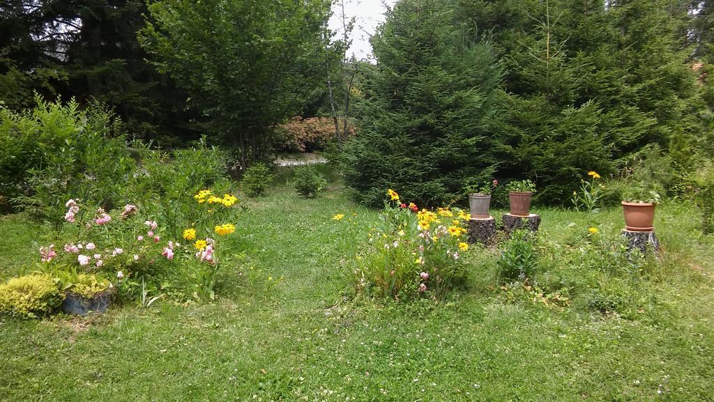 Apartmani Eho Zlatibor Exteriör bild